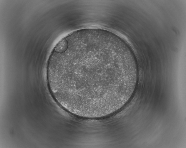 X0000112021424200909141027