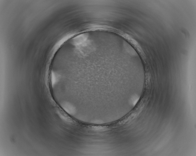 X0000112021427200909141027