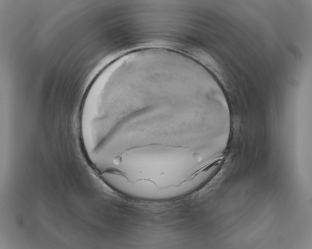 X0000112021428200909141027