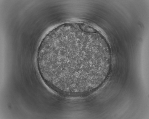 X0000112021429200909141027