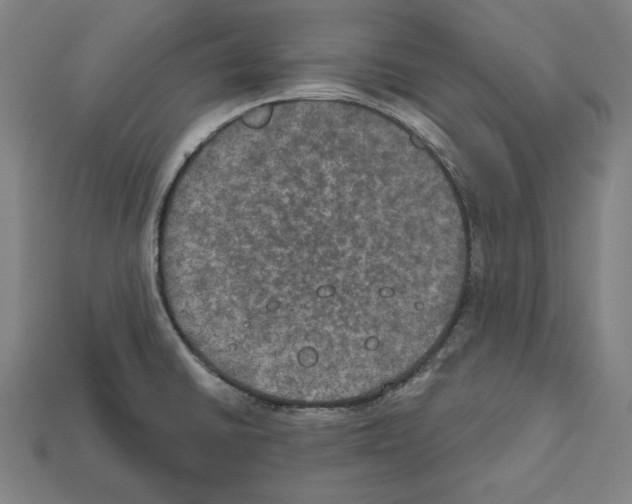 X0000112021430200909141027