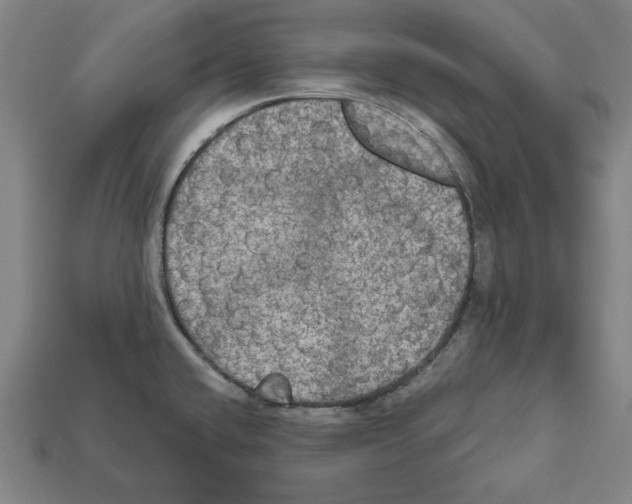 X0000112021432200909141027