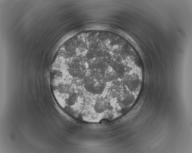 X0000112021433200909141027