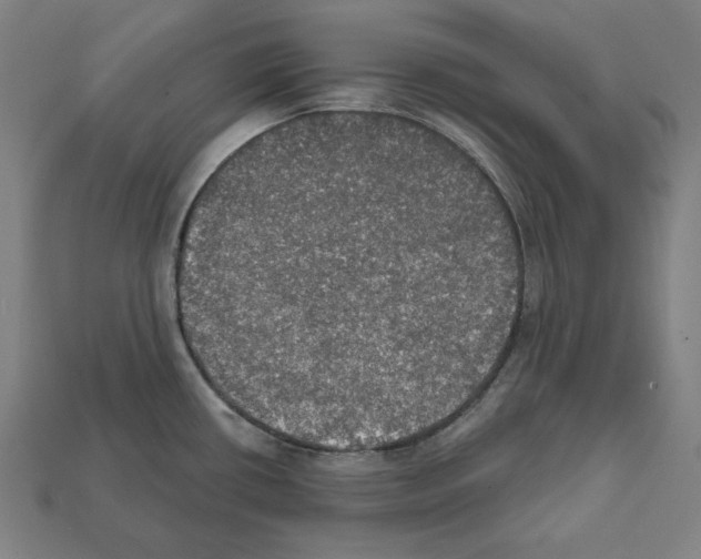 X0000112021434200909141027