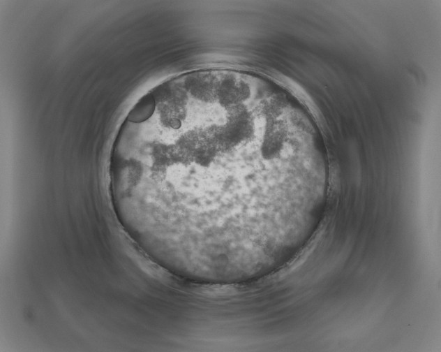 X0000112021435200909141027