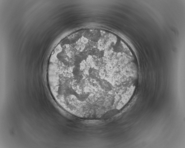 X0000112021437200909141027