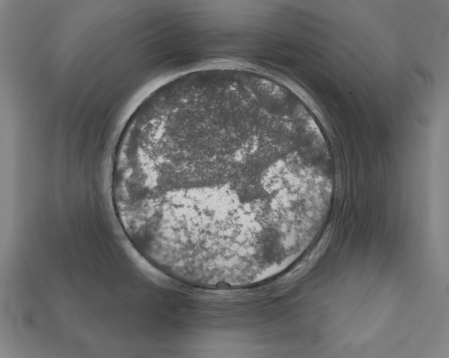 X0000112021438200909141027