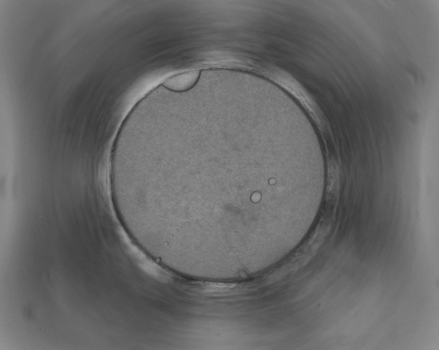 X0000112021439200909141027