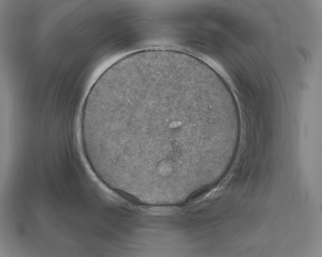 X0000112021440200909141027