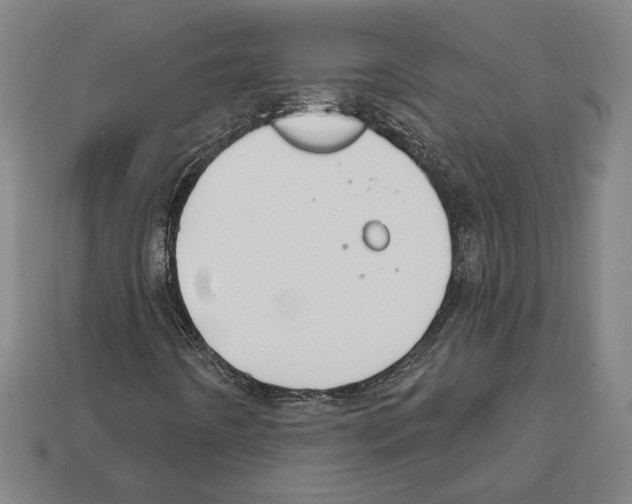 X0000112021442200909141026