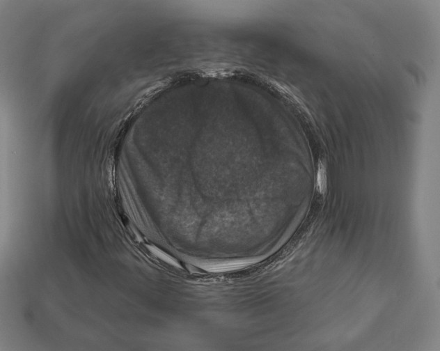 X0000112021444200909141026