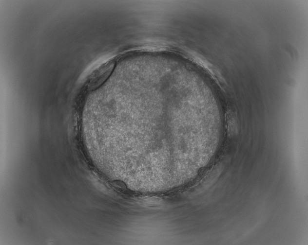 X0000112021448200909141026