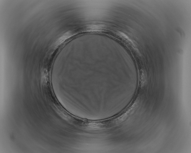 X0000112021449200909141026