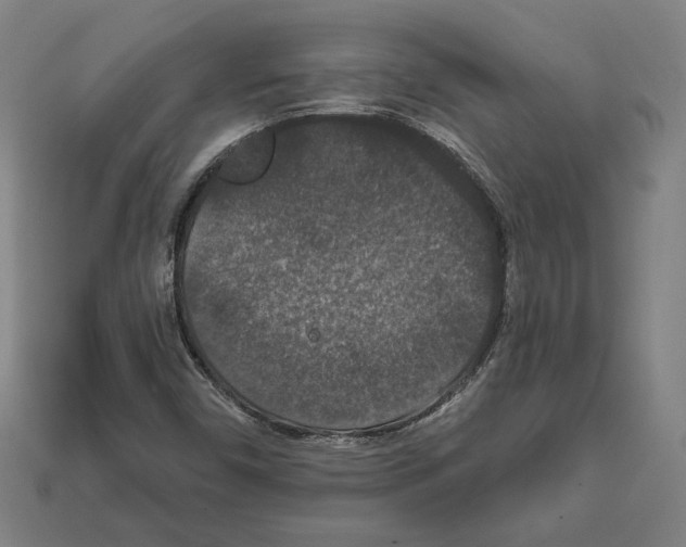 X0000112021450200909141026