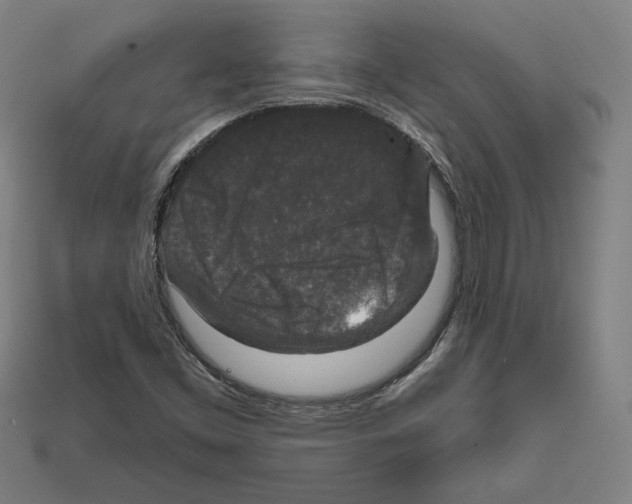 X0000112021453200909141026