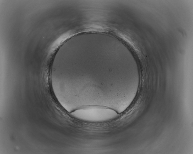 X0000112021455200909141026