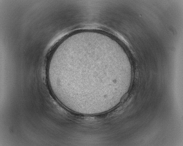 X0000112021456200909141026