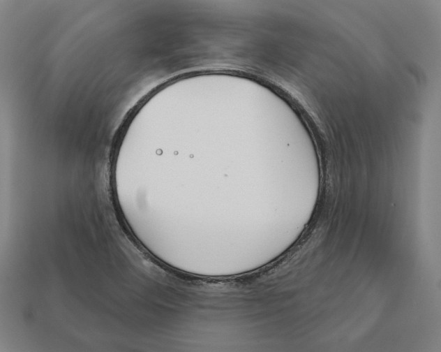 X0000112021460200909141026