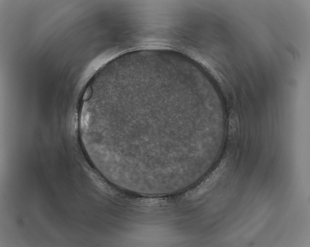 X0000112021461200909141026