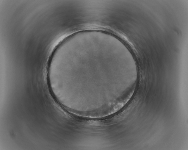 X0000112021463200909141026