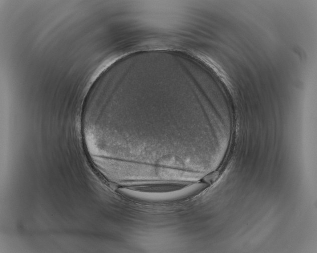 X0000112021465200909141026