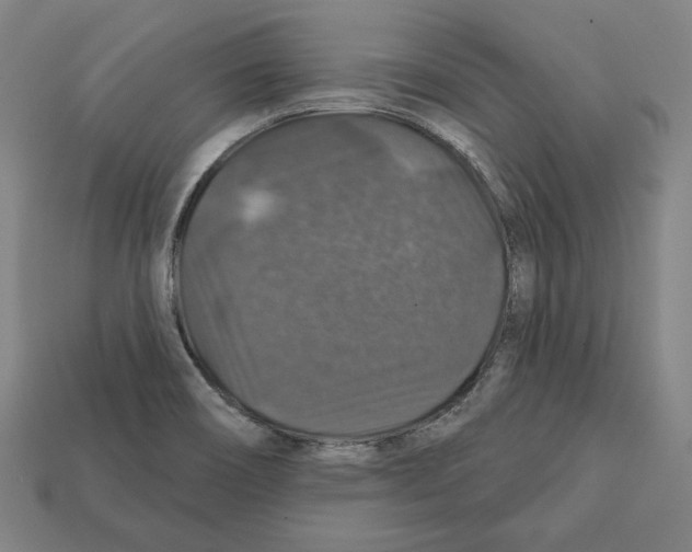 X0000112021466200909141026