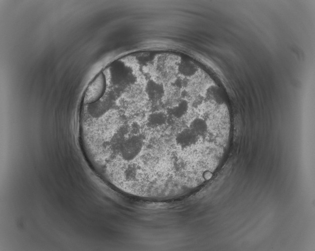 X0000112021467200909141026