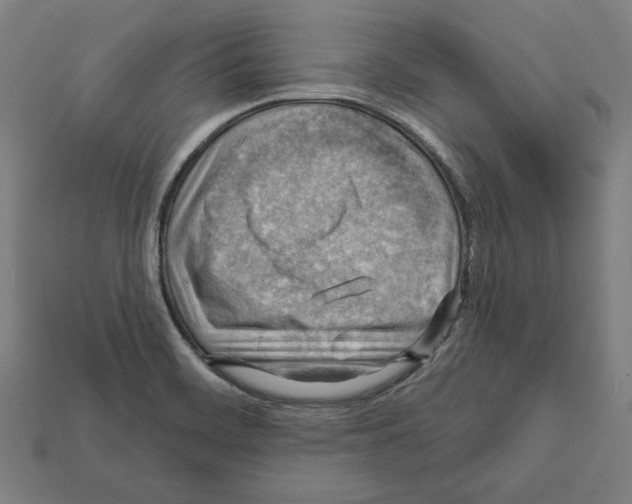 X0000112021468200909141026