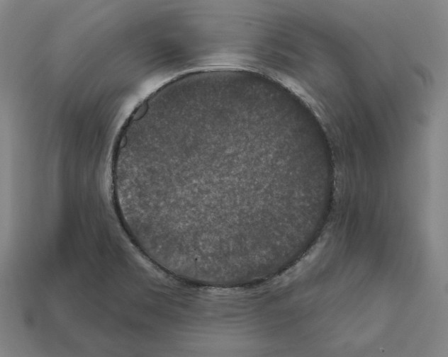 X0000112021469200909141026