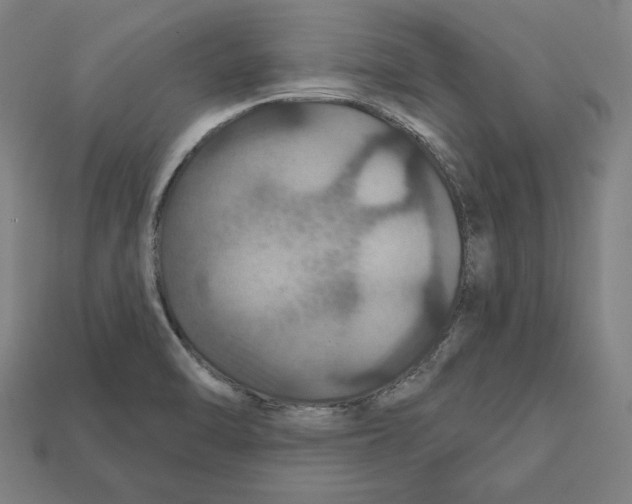 X0000112021470200909141026