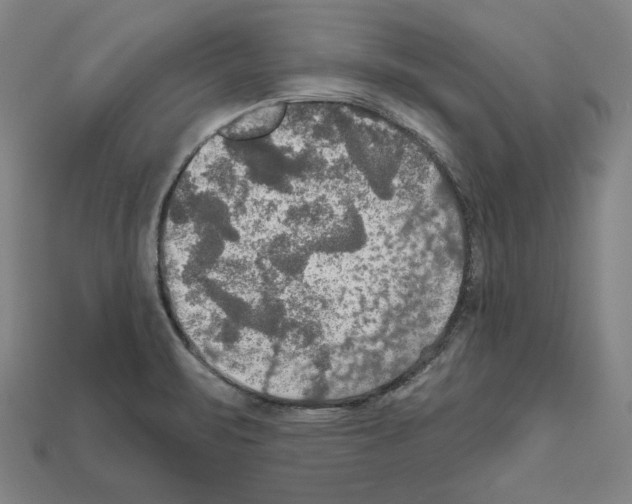 X0000112021471200909141026