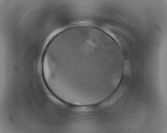 X0000112021474200909141026