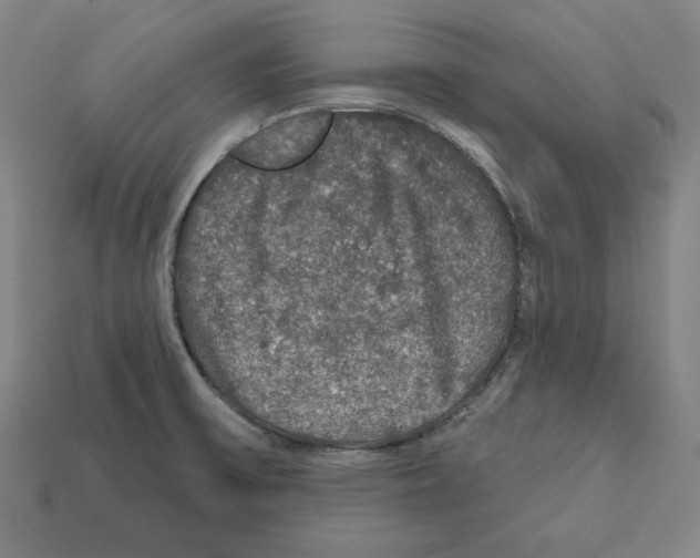 X0000112021475200909141026