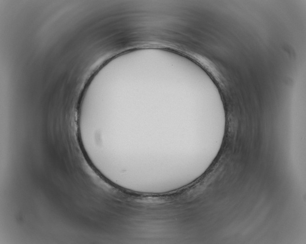 X0000112021476200909141026