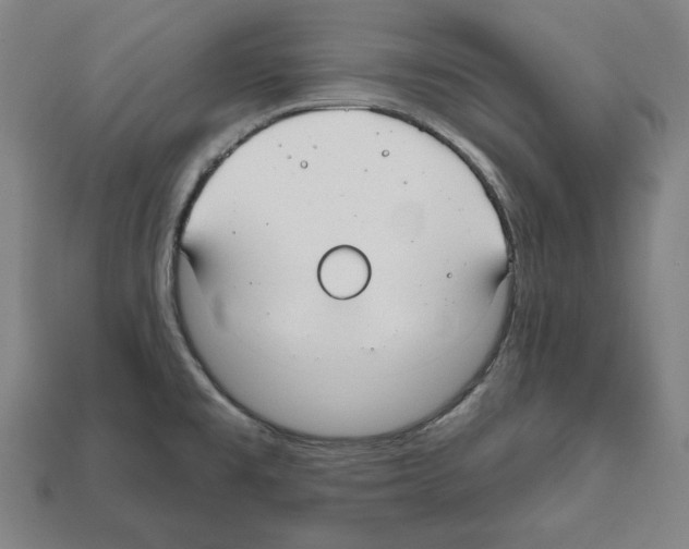 X0000112021477200909141026