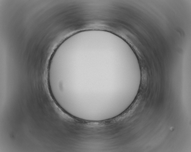 X0000112021478200909141026