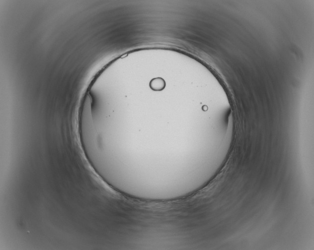 X0000112021480200909141026