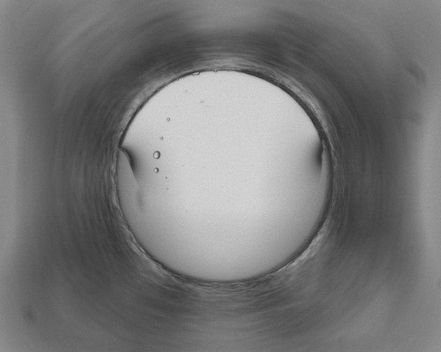 X0000112021481200909141026