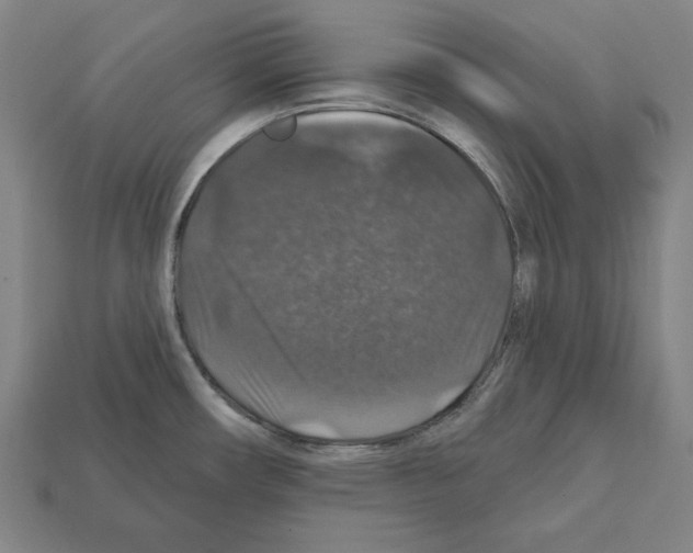 X0000112021482200909141025