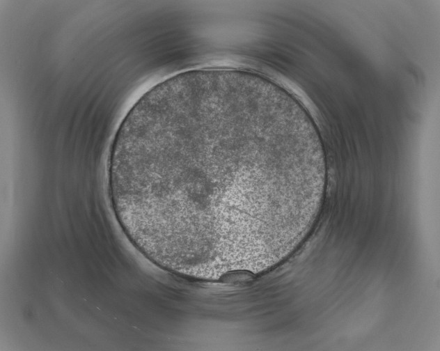 X0000112021483200909141025