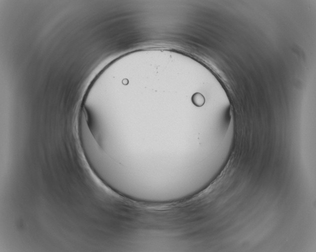 X0000112021484200909141025