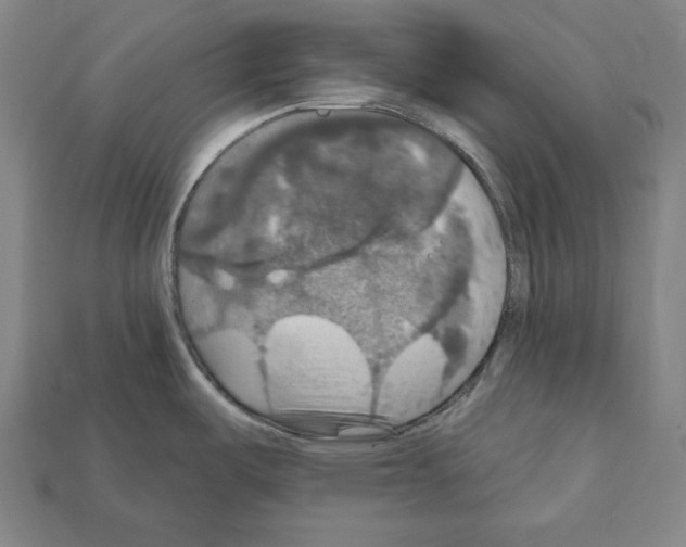 X0000112021487200909141025