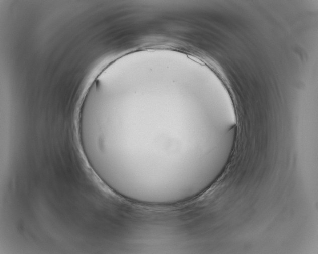 X0000112021488200909141025