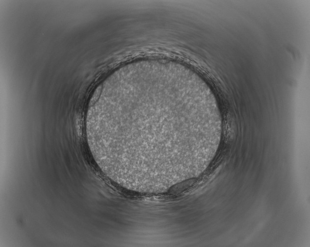 X0000112021490200909141025