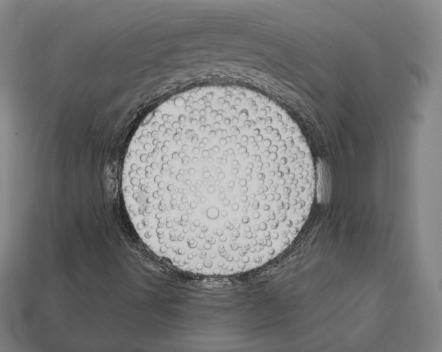 X0000112021491200909141025