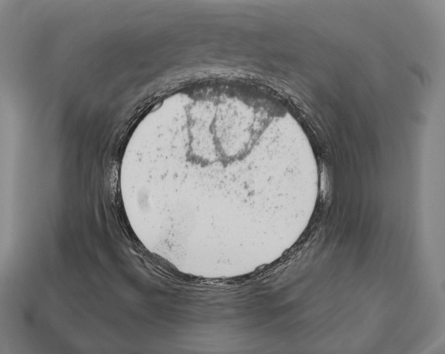 X0000112021492200909141025