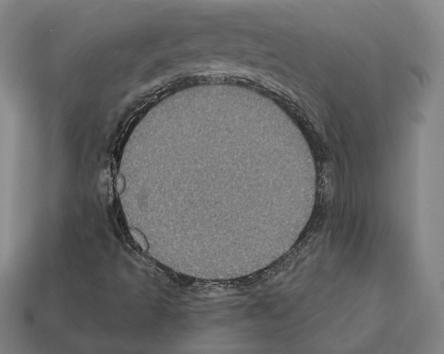 X0000112021493200909141025