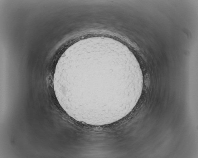 X0000112021495200909141025