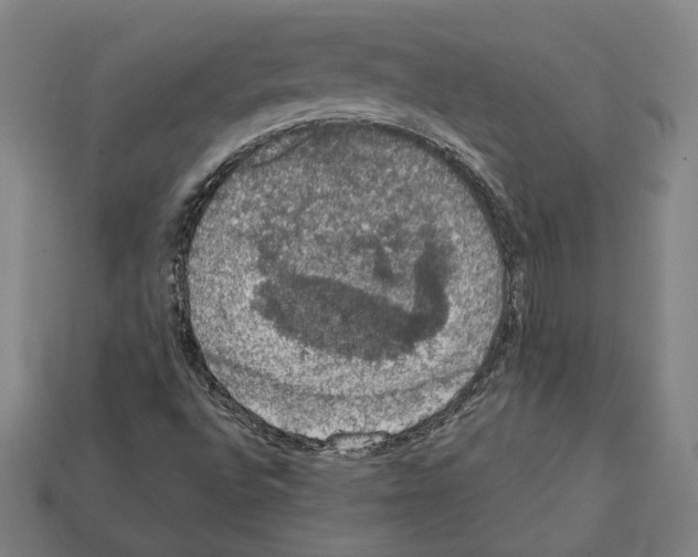 X0000112021496200909141025