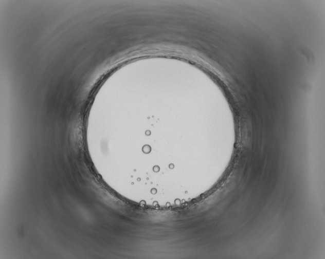 X0000112021498200909141025